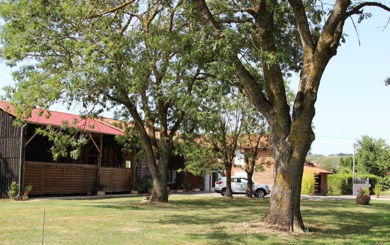Ferme Aquinaut - Le Paradis Montesquieu-Volvestre Zewnętrze zdjęcie