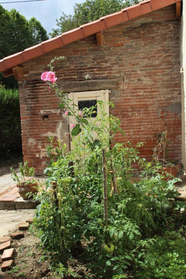 Ferme Aquinaut - Le Paradis Montesquieu-Volvestre Zewnętrze zdjęcie